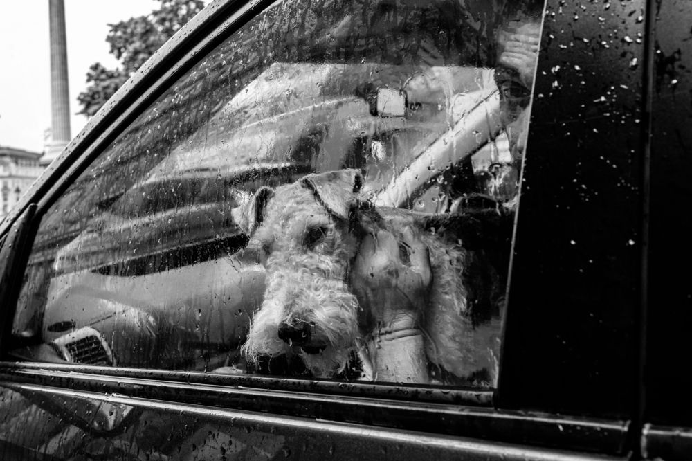 Photograph by Chris Mozyro