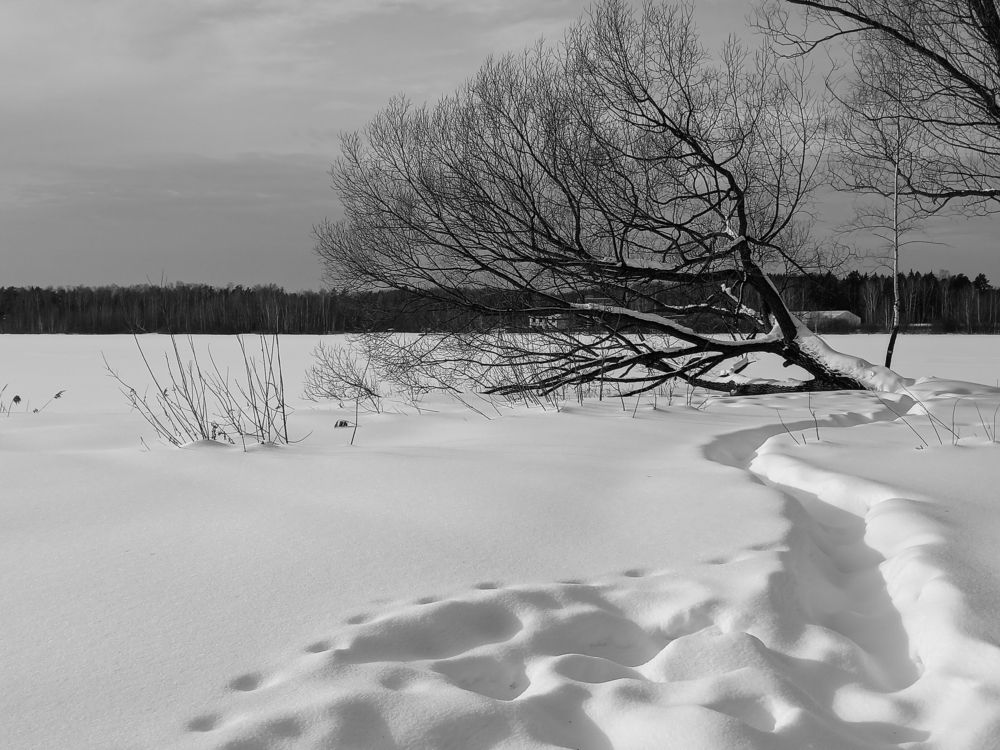 Photograph by Наталья Колеватова