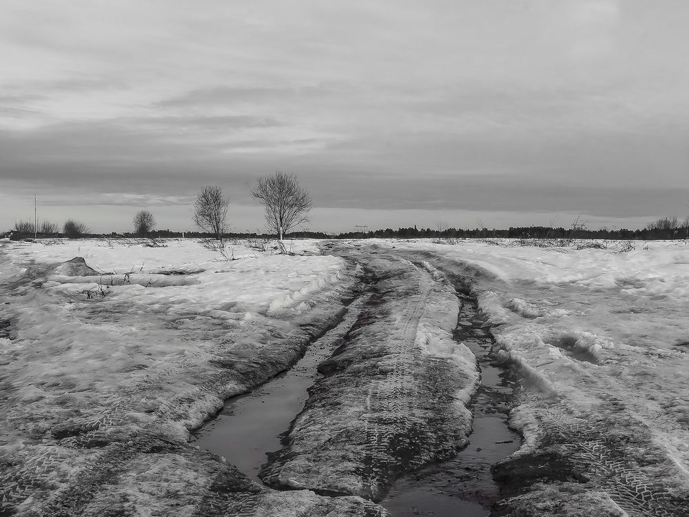 Photograph by Наталья Колеватова