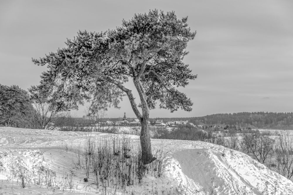 Photograph by Андрей К. Белов