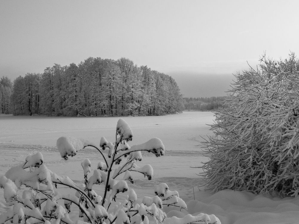 Photograph by Наталья Колеватова