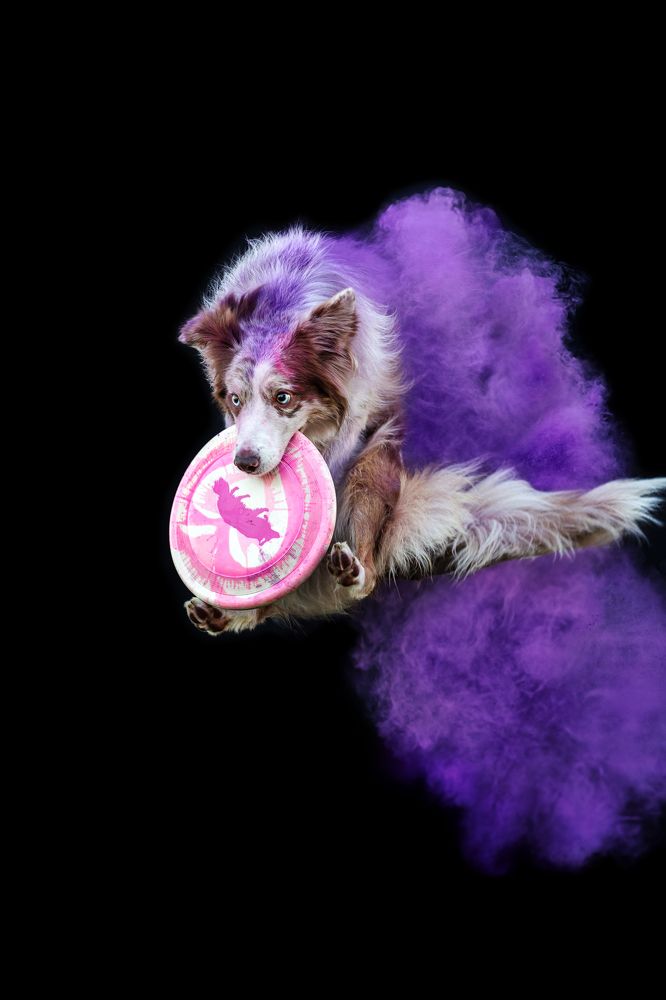 Photograph by Екатерина Киреева