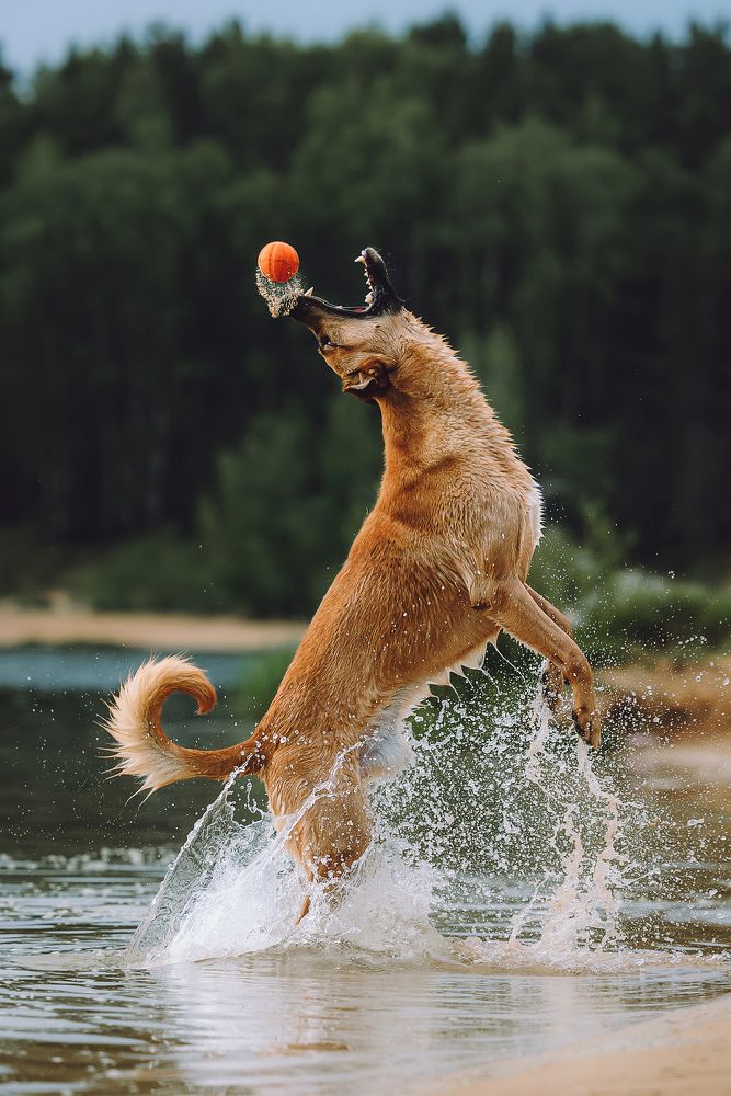 Photograph by Екатерина Киреева