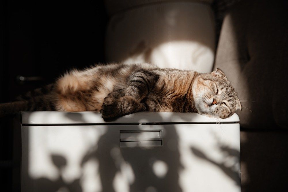 Photograph by Анна Блохина