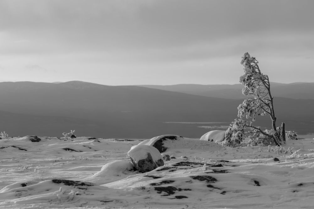 Photograph by Юлия Яковлева