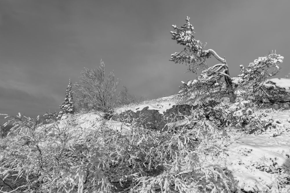 Photograph by Юлия Яковлева