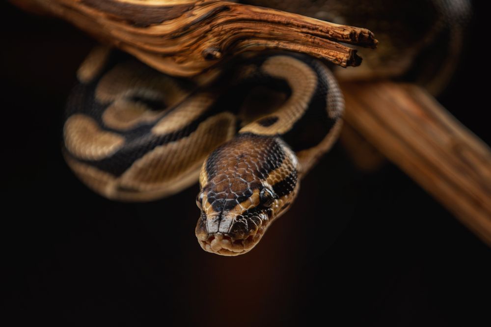 Photograph by Зубкова Юлия