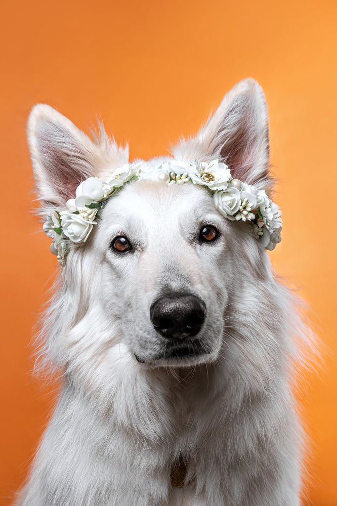 Фотография автора Екатерина Киреева