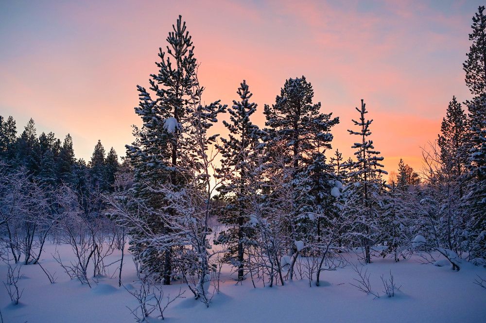 Photograph by Tanzilya Gabidullina