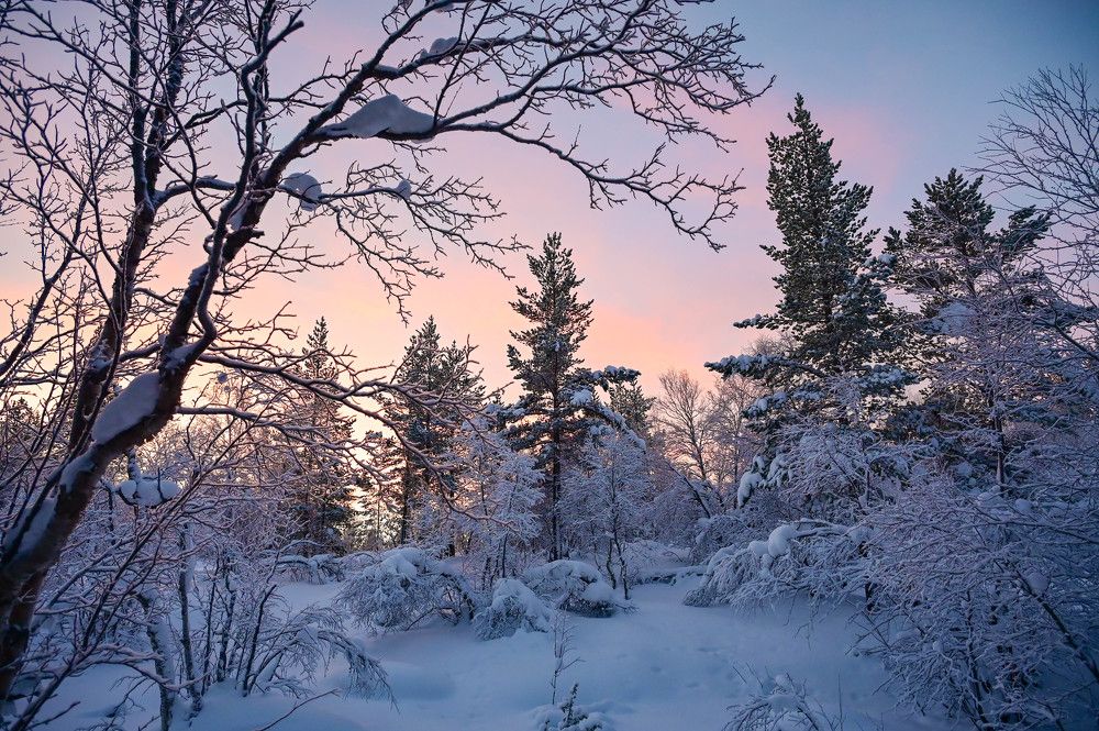 Photograph by Tanzilya Gabidullina