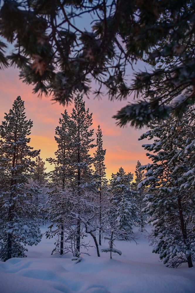 Photograph by Tanzilya Gabidullina