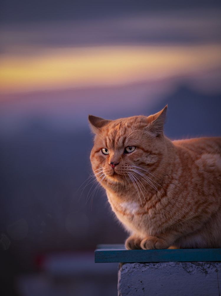 Photograph by Игорь Толкачев