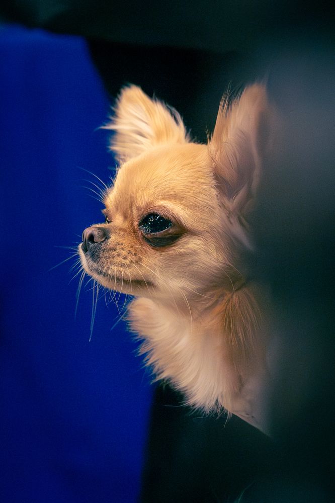 Photograph by Siarhei Saladukhin