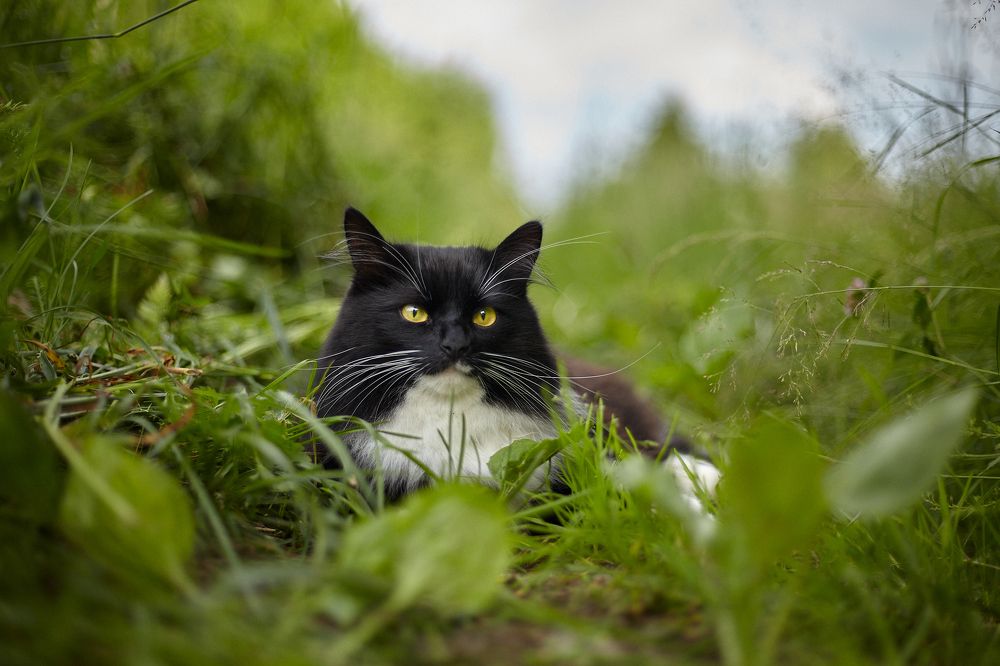 Photograph by Павлов Егор