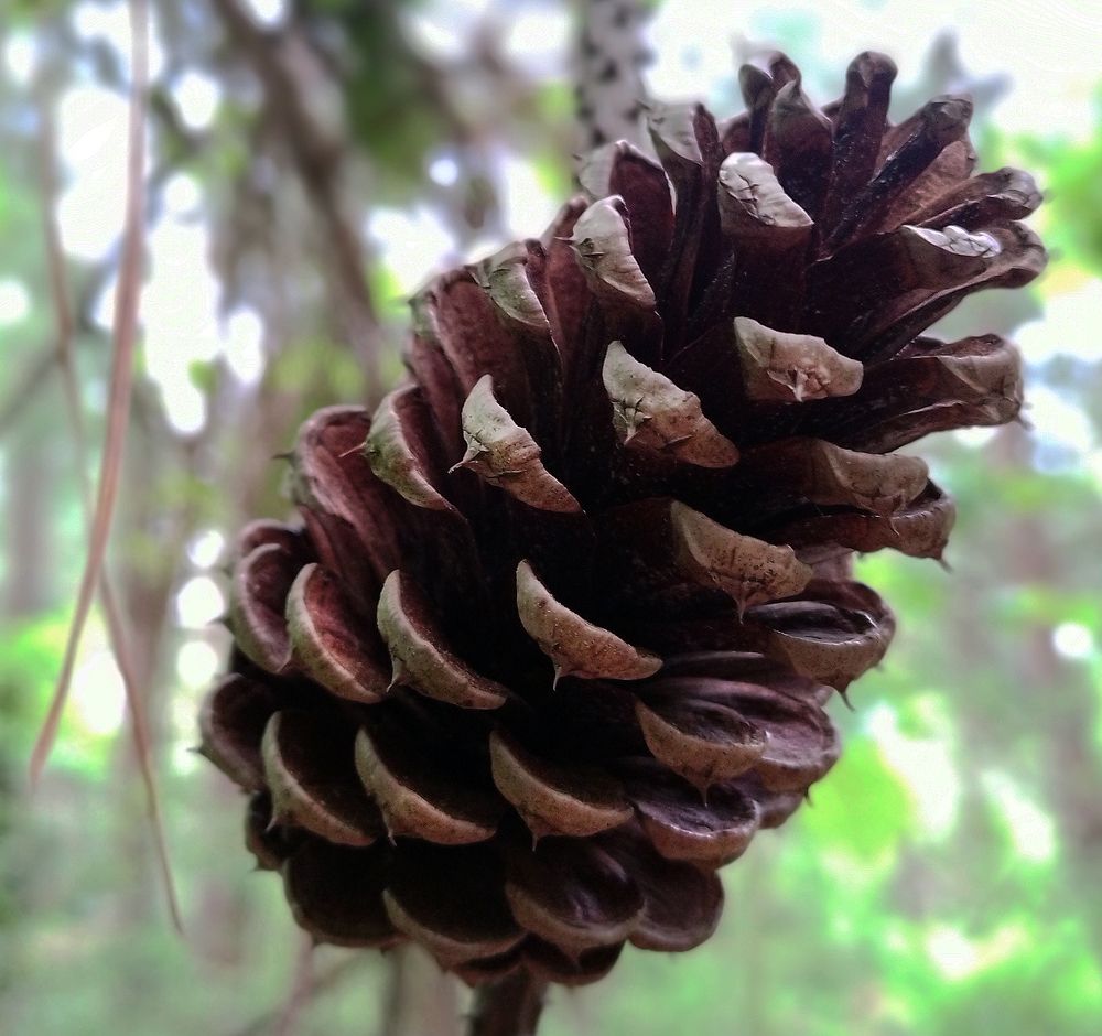 Photograph by nafas jouri