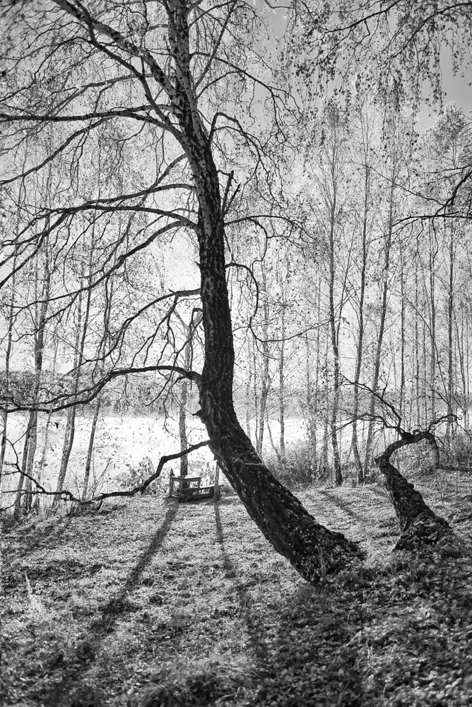 Photograph by Денис Ефимочкин