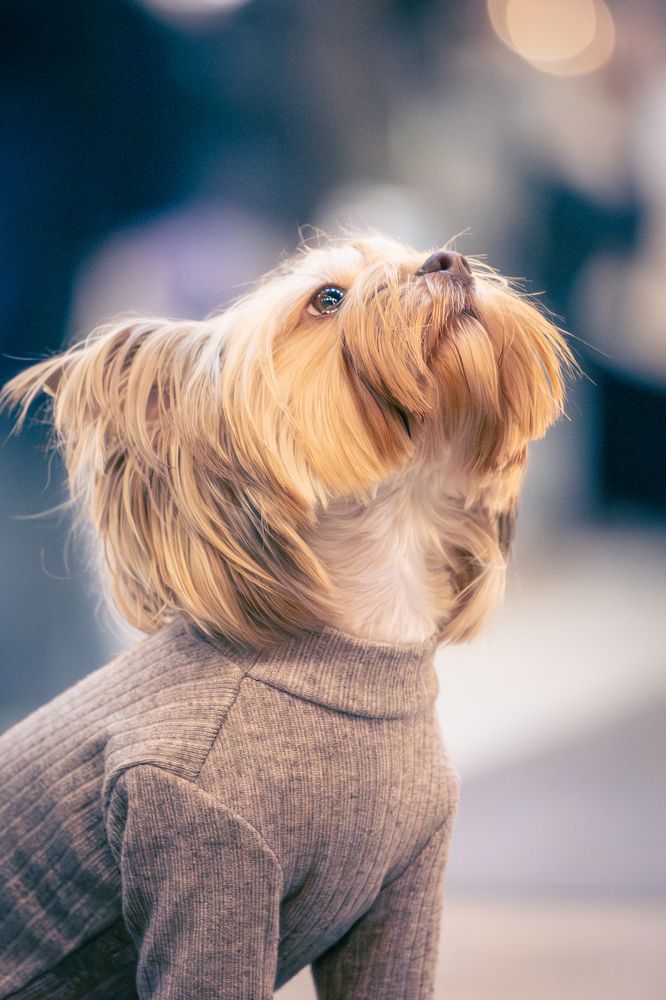 Photograph by Siarhei Saladukhin