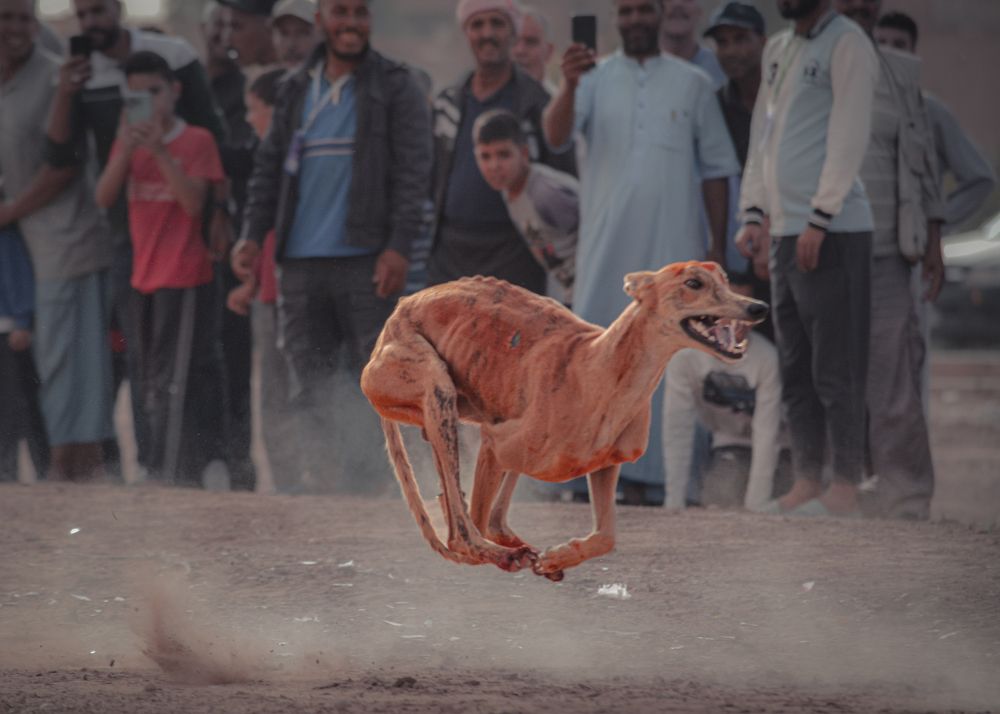 Photograph by Bachir Rabouh
