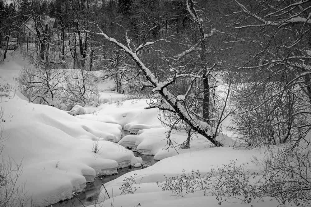 Photograph by Михаил Косолапов