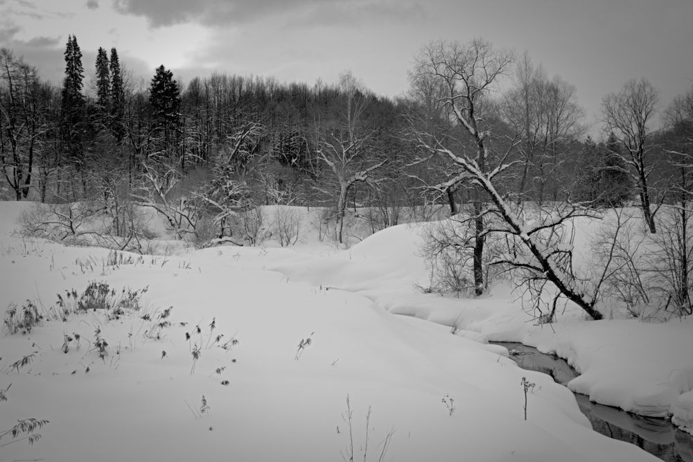 Photograph by Михаил Косолапов