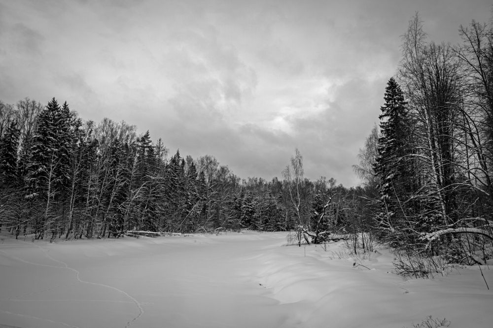 Photograph by Михаил Косолапов