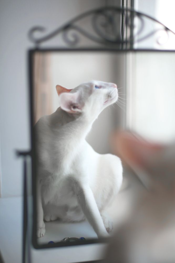 Photograph by Юлия Шишкина (Julia Madera)