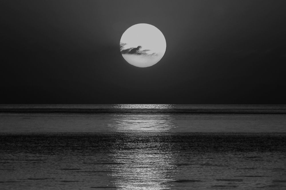 Photograph by hasan sorena jouri