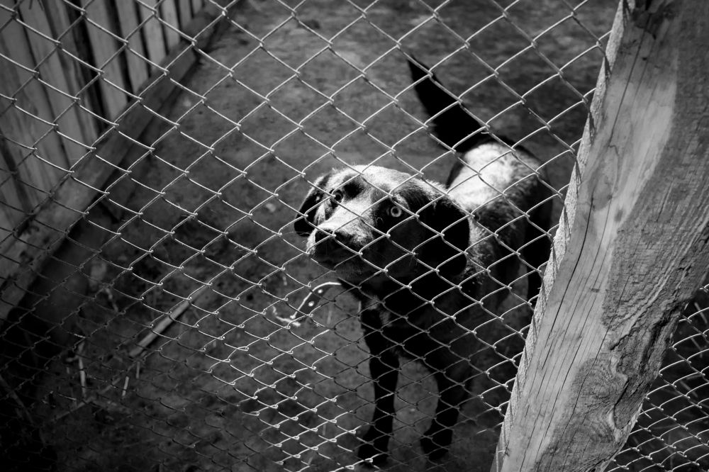 Фотография автора Наталья Новикова