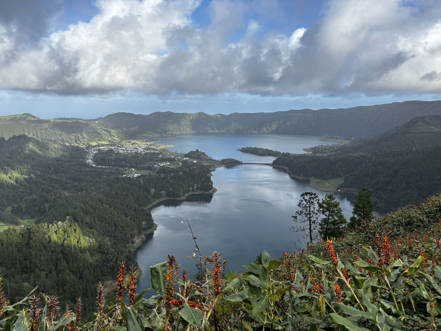 Photo #11603364