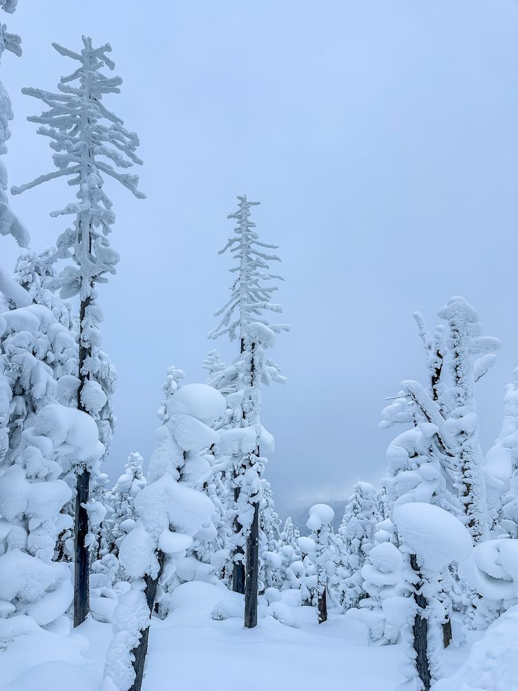 Photograph by Екатерина Лицкан