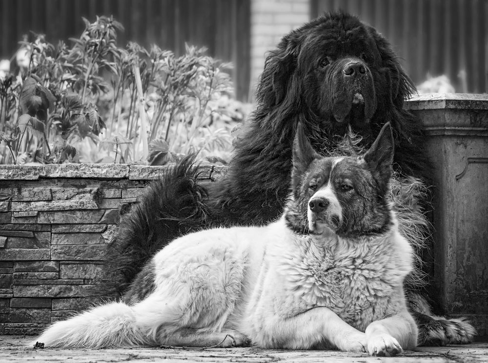 Photograph by Олег Тыркин