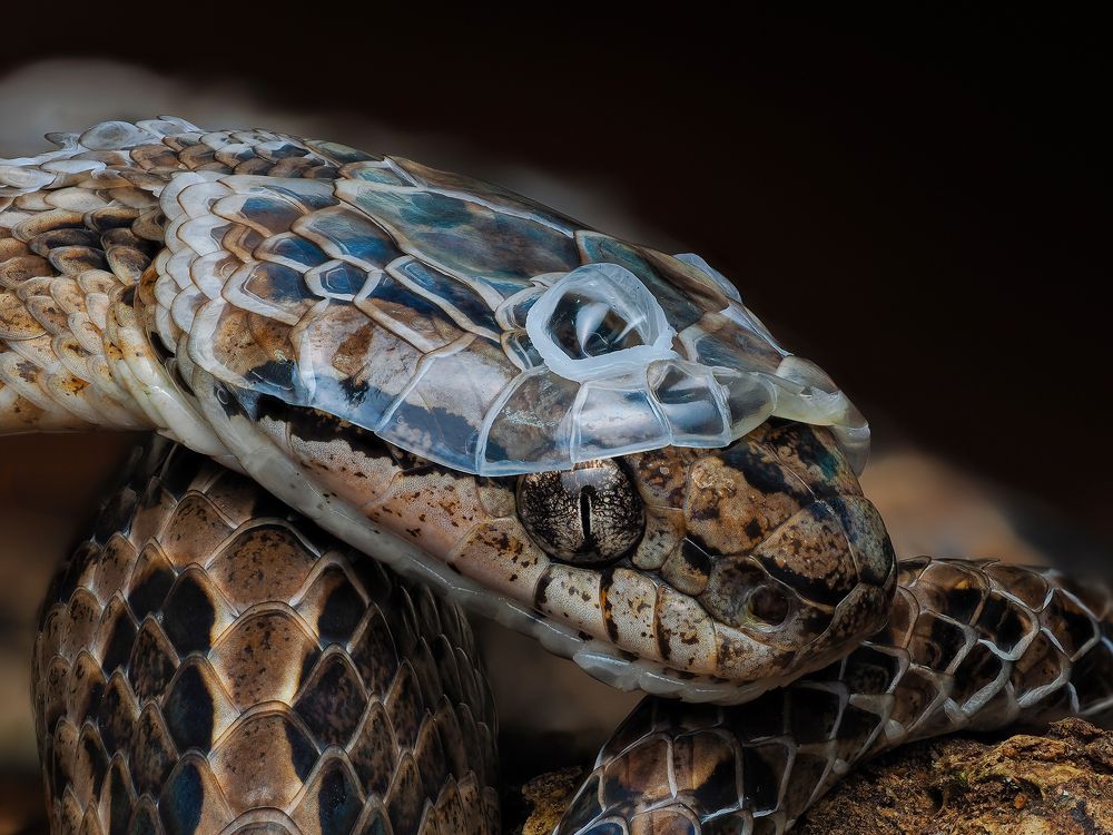 Photograph by Phuong Nguyen