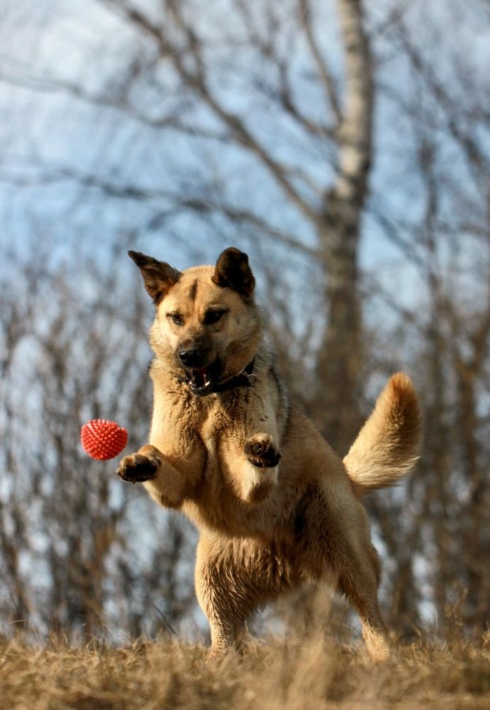 Фотография автора Ираида Гайфуллина