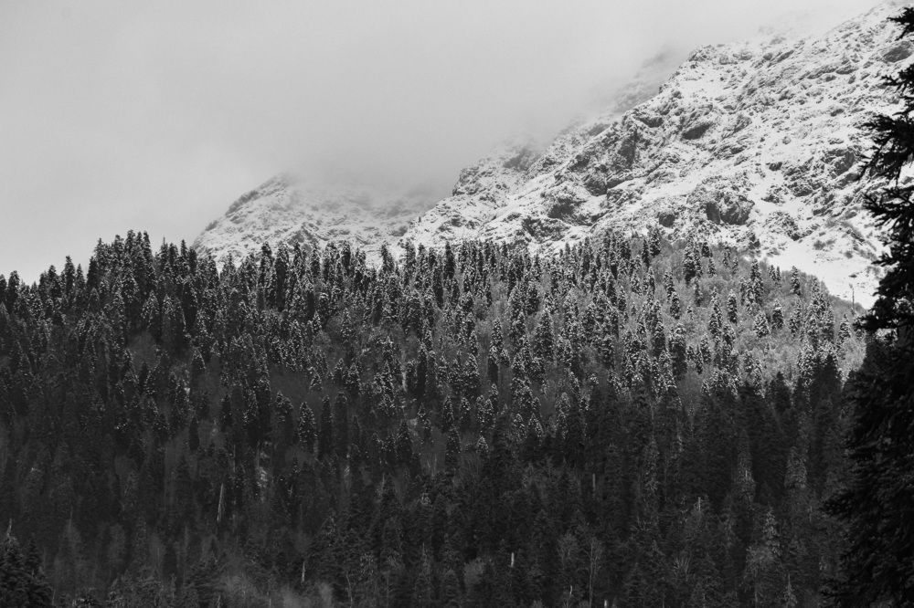 Photograph by Марина Шоркина