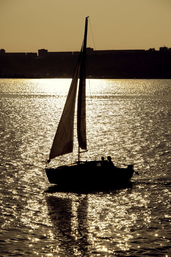 Photograph by Aлена Плясова