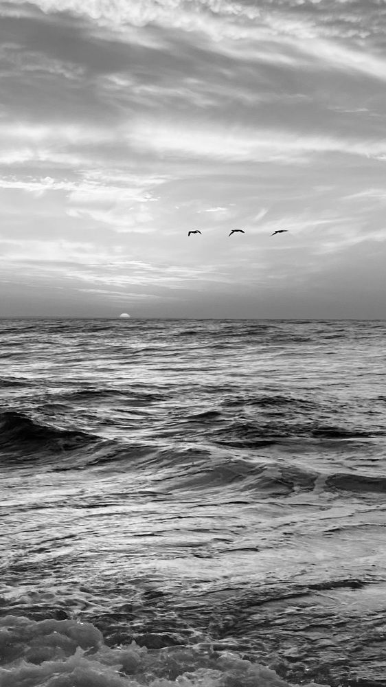 Photograph by Светлана Фесенко