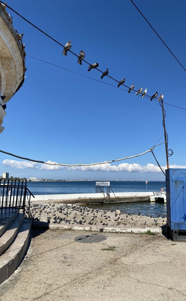 Photograph by Светлана Фесенко