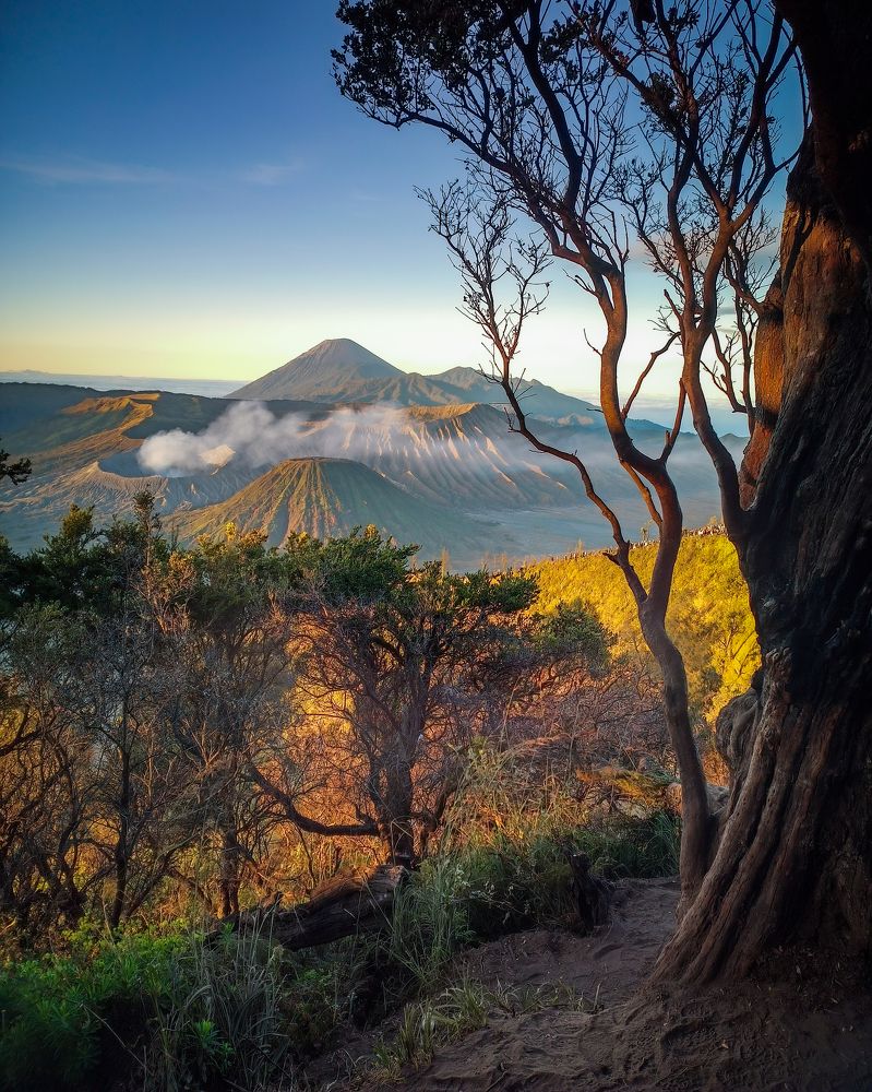 Bromo Golden Morning