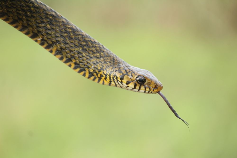 Photograph by Sharad vadoliya