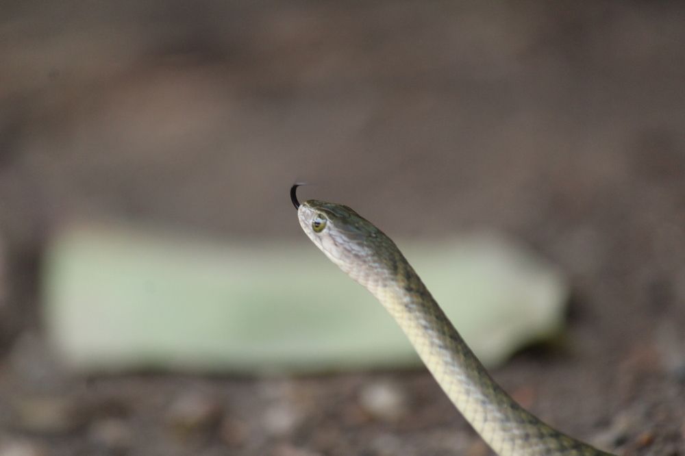 Photograph by Sharad vadoliya