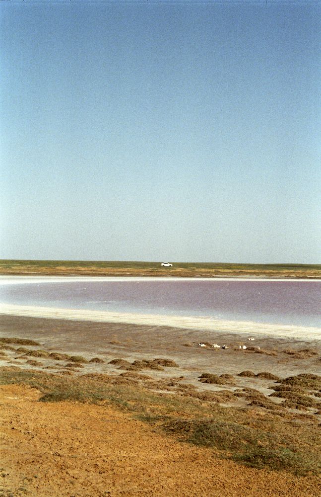 Photograph by Артём Сальников