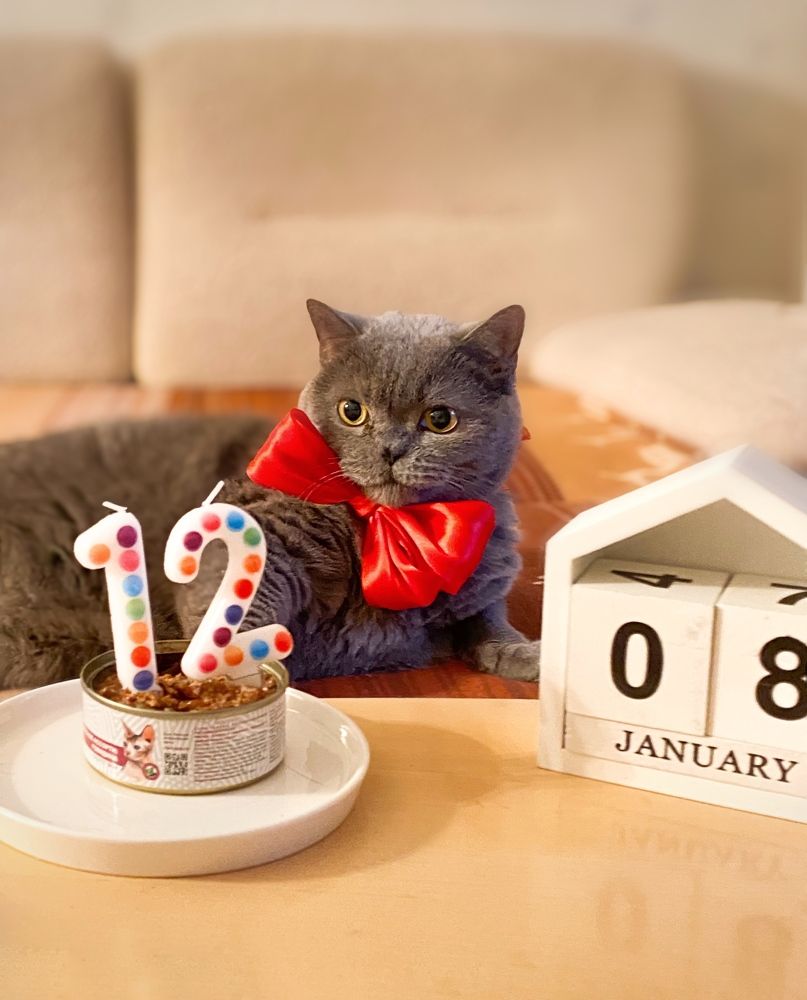 Photograph by Vera Romanova