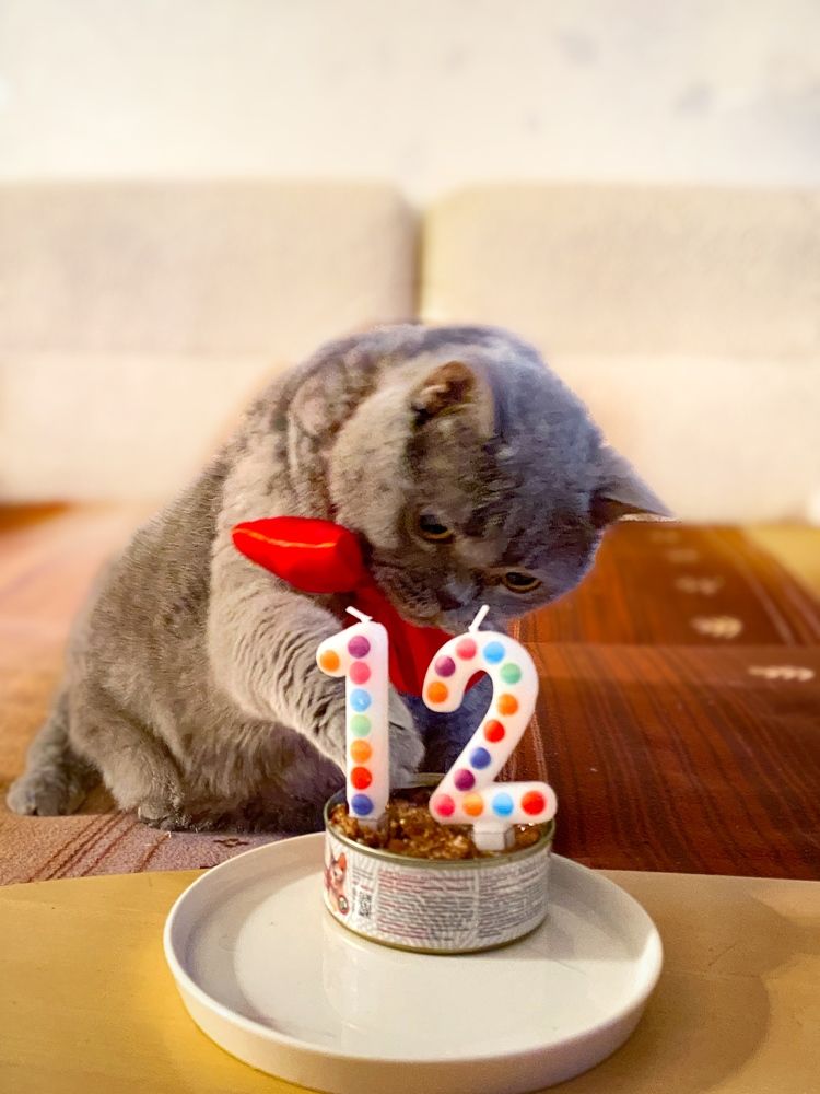 Photograph by Vera Romanova