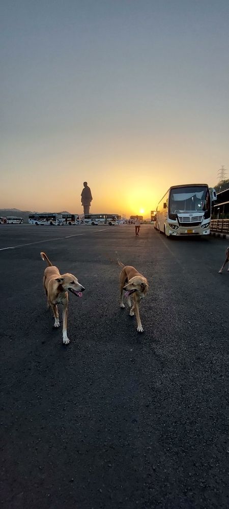 Photograph by Sharad vadoliya