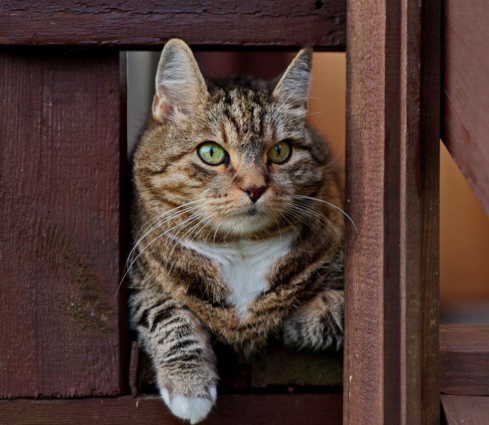 Photograph by Лидия Ушакова