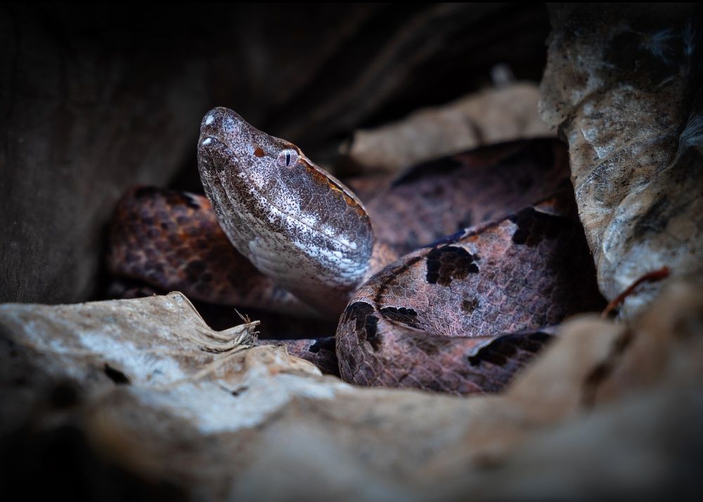 Photograph by Uyen Ha Phuong