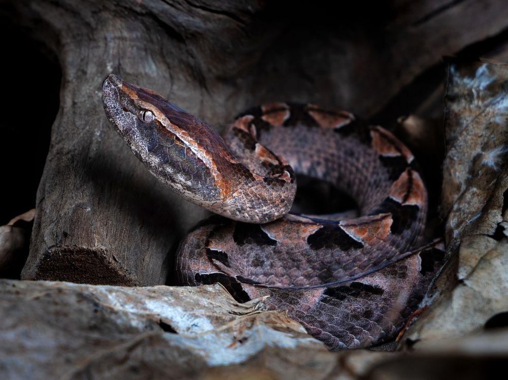 Photograph by Uyen Ha Phuong