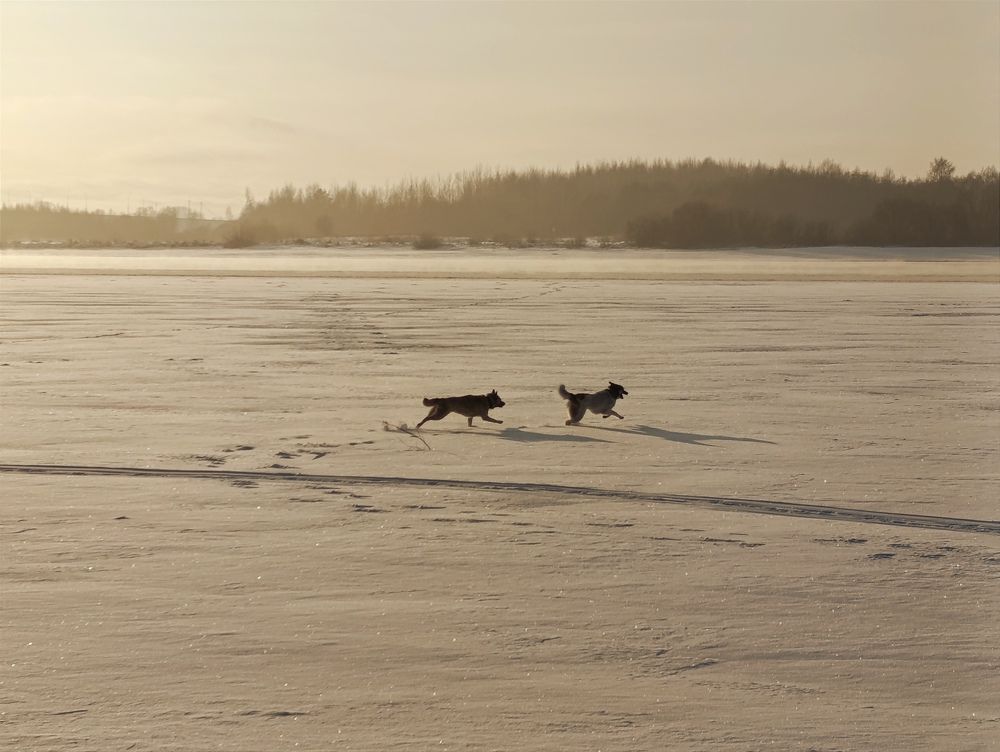 Photograph by Юлия Смирнова