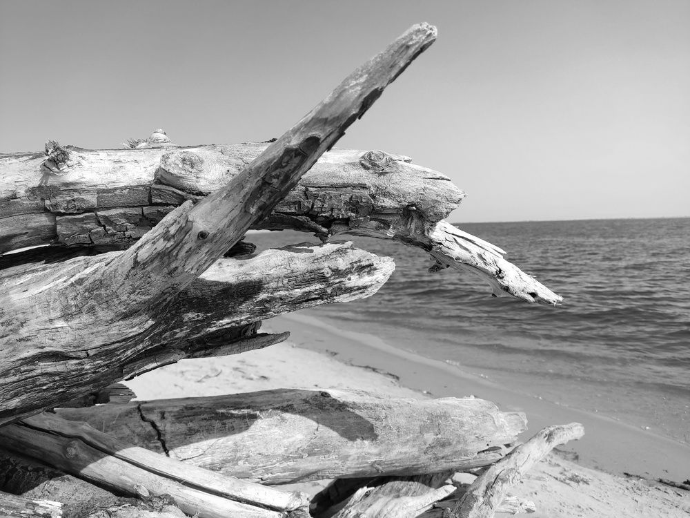 Photograph by Natalia Sopoćko