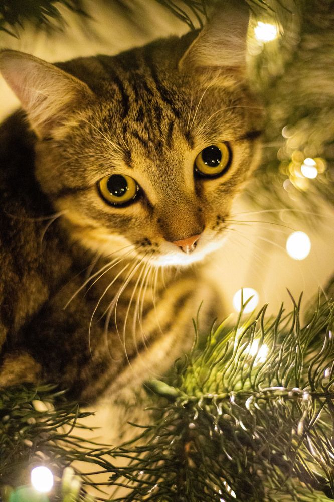 Photograph by Ксения Золотарь